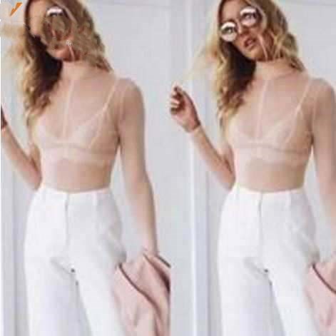 The Sheer Agenda Long-Sleeve Mesh Top