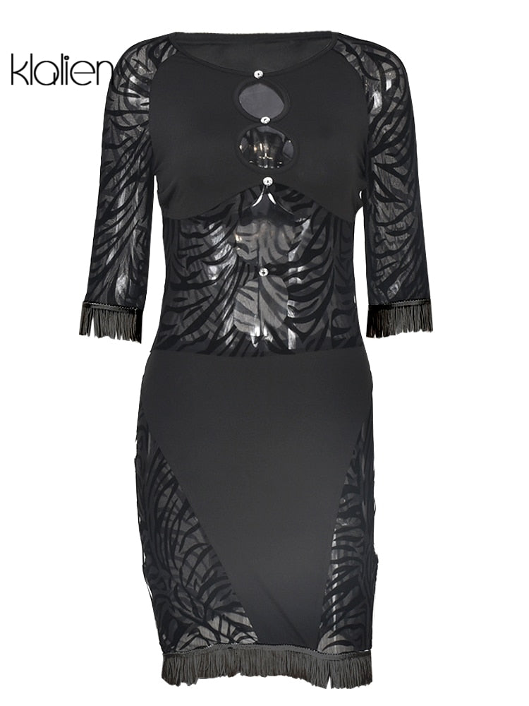 The Wild Afterhours Zebra Mesh Mini Dress