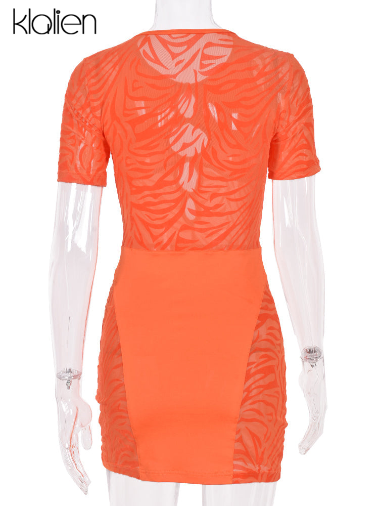 The Wild Afterhours Zebra Mesh Mini Dress