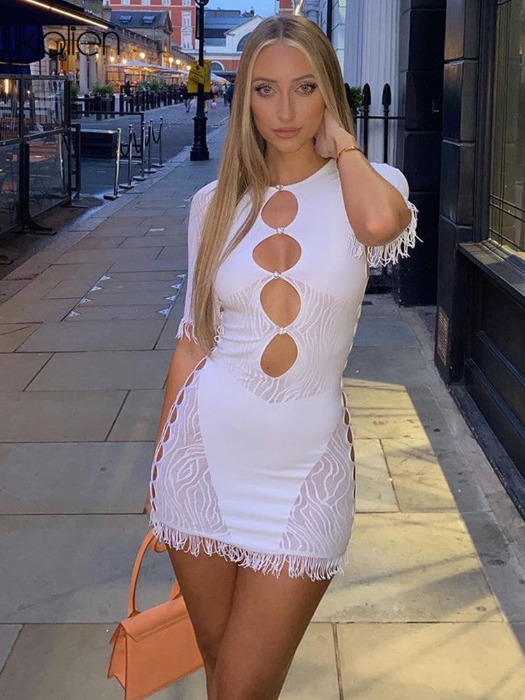 The Wild Afterhours Zebra Mesh Mini Dress