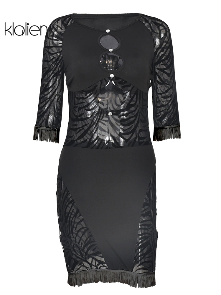 The Wild Afterhours Zebra Mesh Mini Dress