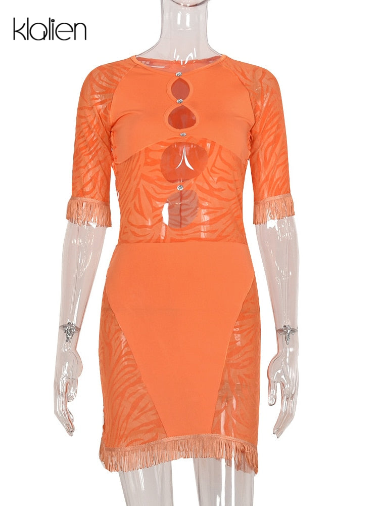 The Wild Afterhours Zebra Mesh Mini Dress