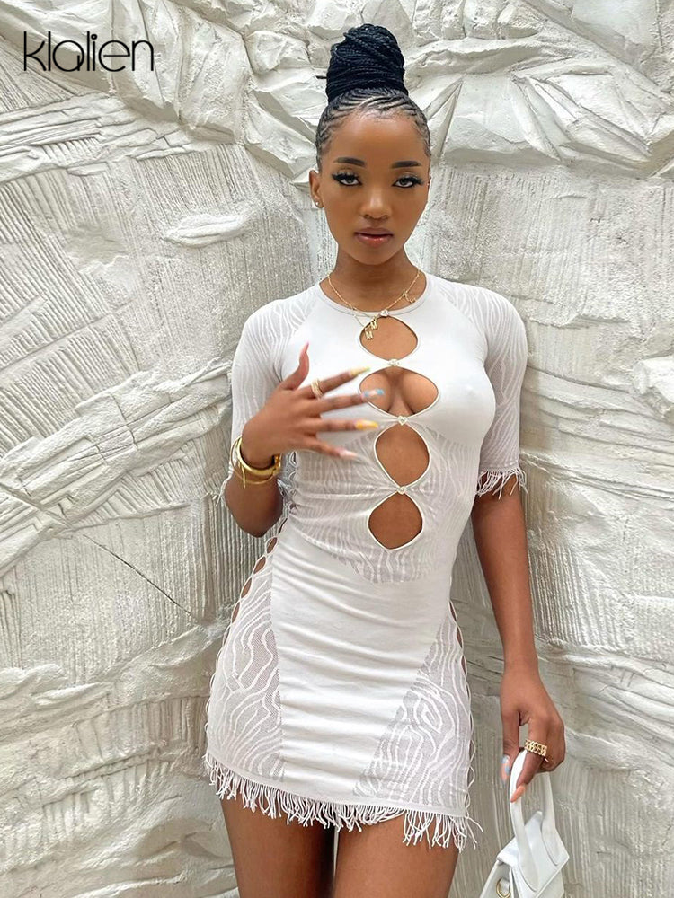 The Wild Afterhours Zebra Mesh Mini Dress