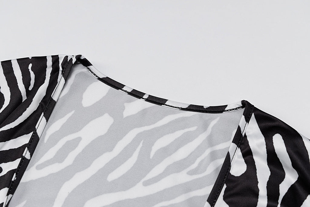 The Zebra Social Plunge Mini Dress
