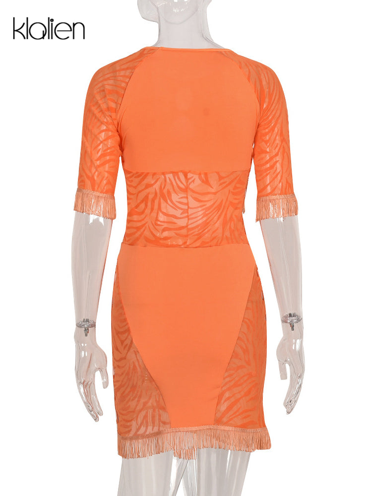 The Wild Afterhours Zebra Mesh Mini Dress