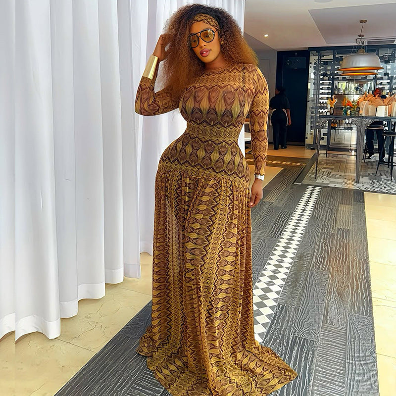 Sheer Printed Mesh Long Sleeve Drop-Waist Maxi Dress