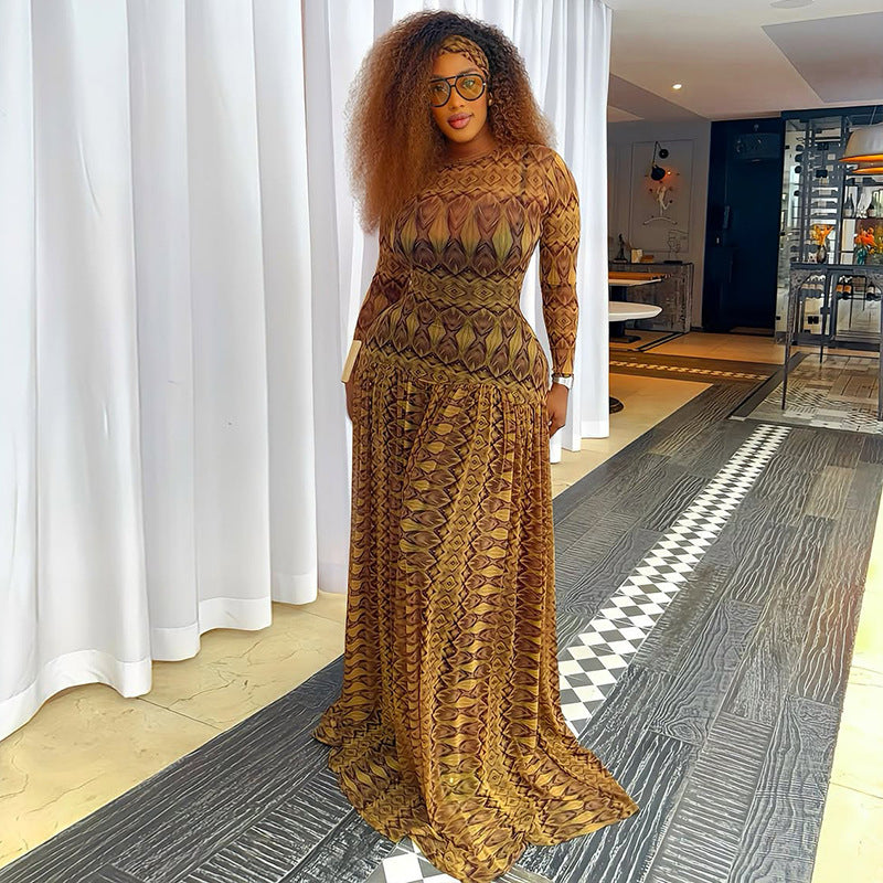 Sheer Printed Mesh Long Sleeve Drop-Waist Maxi Dress