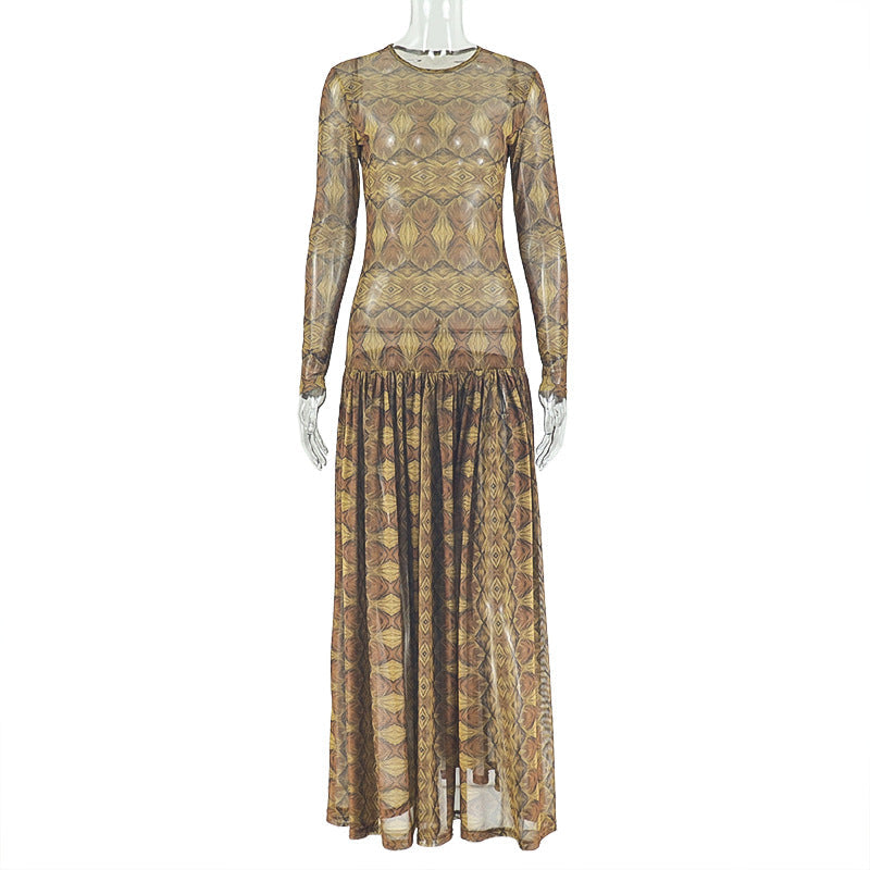 Sheer Printed Mesh Long Sleeve Drop-Waist Maxi Dress