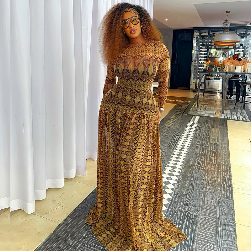Sheer Printed Mesh Long Sleeve Drop-Waist Maxi Dress