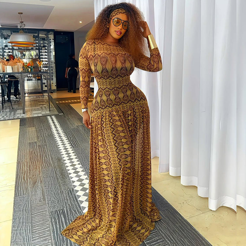 Sheer Printed Mesh Long Sleeve Drop-Waist Maxi Dress