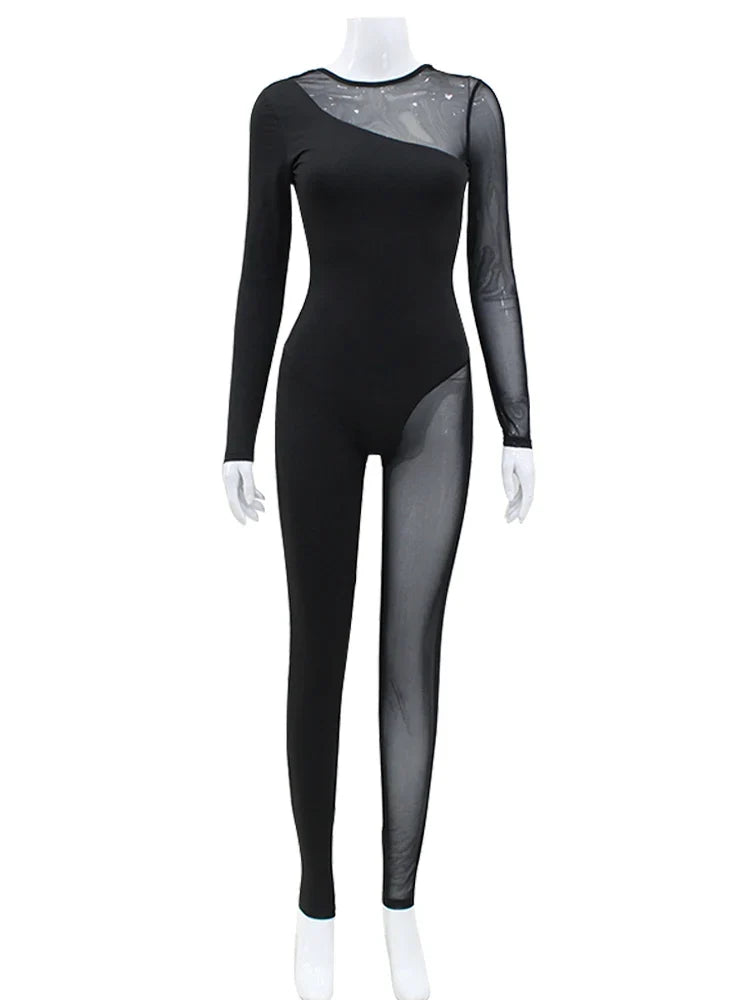 The Sheer Mesh Skinny Zip Jumpsuit