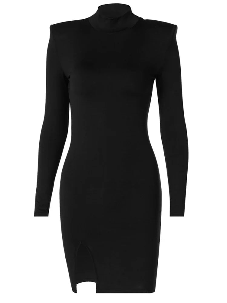 Turtleneck Long-Sleeve Bodycon Mini Dress
