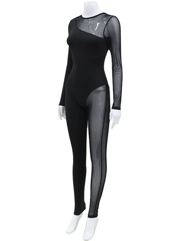 The Sheer Mesh Skinny Zip Jumpsuit