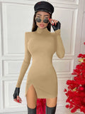 Turtleneck Long-Sleeve Bodycon Mini Dress