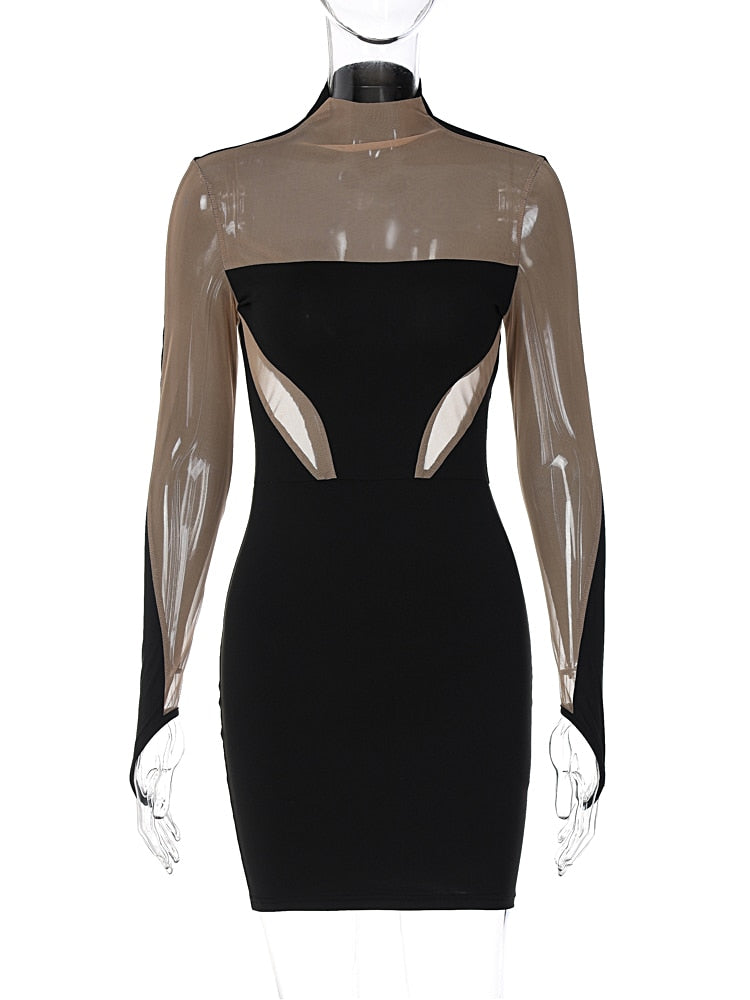 The Noir Illusion Mesh Mini Dress