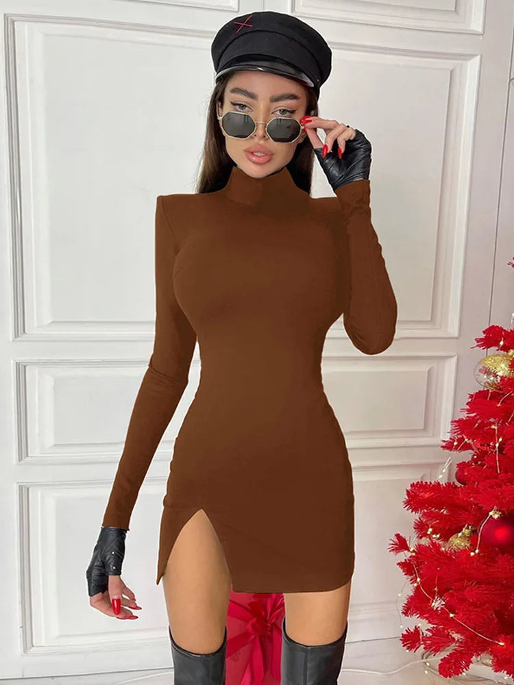 Turtleneck Long-Sleeve Bodycon Mini Dress