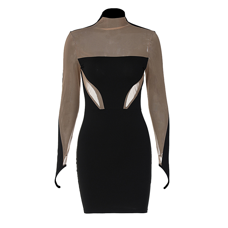The Noir Illusion Mesh Mini Dress