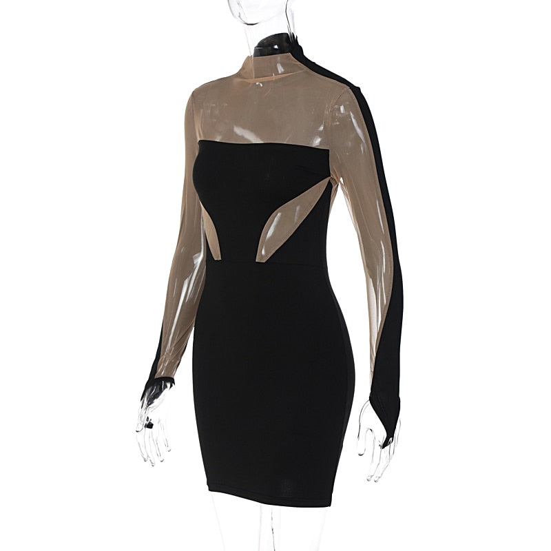 The Noir Illusion Mesh Mini Dress