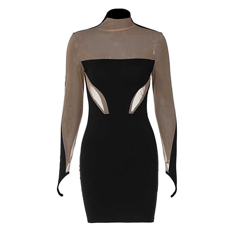 The Noir Illusion Mesh Mini Dress