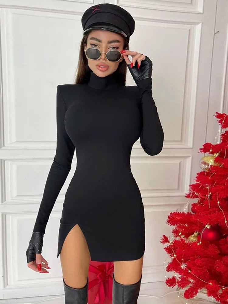 Turtleneck Long-Sleeve Bodycon Mini Dress