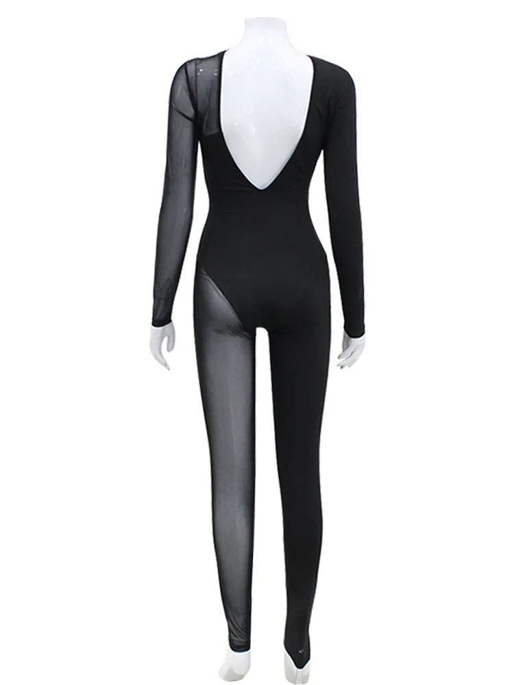 The Sheer Mesh Skinny Zip Jumpsuit